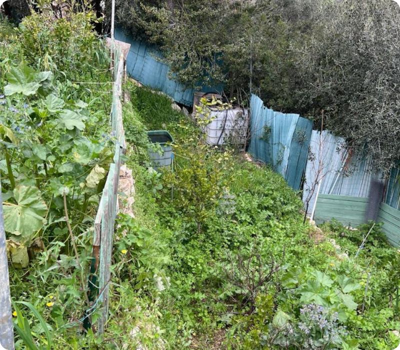 debarras jardin et enlevement dechets verts dans les alpes-maritimes pro débarras 06