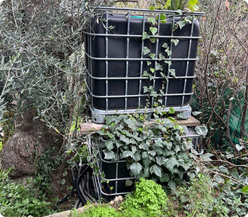 nettoyage et debarras du jardin sur la cote d'azur